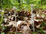 DSCN0716.JPG
