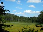 DSCN0871.JPG
