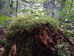 DSCN0879.JPG