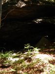 DSCN0931.JPG