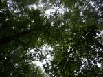 DSCN0990.JPG