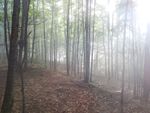 DSCN1084.JPG