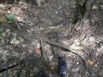 DSCN1089.JPG