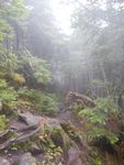 DSCN1206.JPG