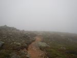 DSCN1350.JPG