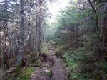 DSCN1487.JPG