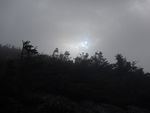 DSCN1530.JPG