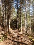 DSCN1641.JPG
