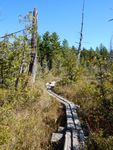 DSCN1838.JPG