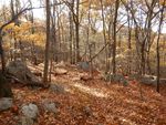 DSCN2277.JPG