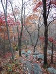 DSCN2280.JPG