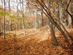 DSCN2288.JPG