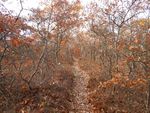 DSCN2312.JPG