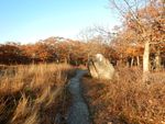 DSCN2429.JPG