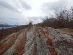 DSCN2470.JPG