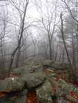 DSCN2682.JPG