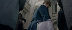 FANTASTIC_BEASTS.theatrical_00009594.jpg