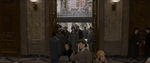 FANTASTIC_BEASTS.theatrical_00010016.jpg