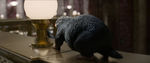 FANTASTIC_BEASTS.theatrical_00013213.jpg