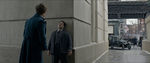 FANTASTIC_BEASTS.theatrical_00017738.jpg