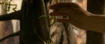 FANTASTIC_BEASTS.theatrical_00060208.jpg