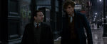 FANTASTIC_BEASTS.theatrical_00070426.jpg