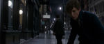 FANTASTIC_BEASTS.theatrical_00070753.jpg