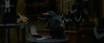FANTASTIC_BEASTS.theatrical_00071140.jpg
