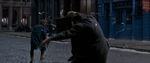 FANTASTIC_BEASTS.theatrical_00072955.jpg