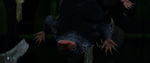 FANTASTIC_BEASTS.theatrical_00073341.jpg