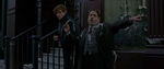 FANTASTIC_BEASTS.theatrical_00073711.jpg