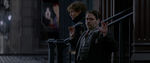 FANTASTIC_BEASTS.theatrical_00073971.jpg