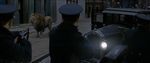FANTASTIC_BEASTS.theatrical_00074231.jpg